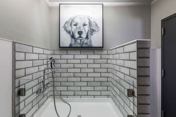 Dog wash station