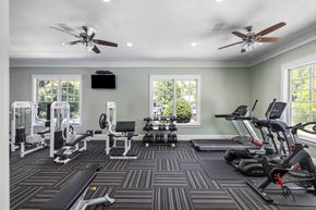 Duluth apartment for rent - A spacious home gym with a variety of exercise equipment.
