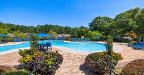 Duluth apartment for rent - A large outdoor swimming pool surrounded by blue loungers and greenery.