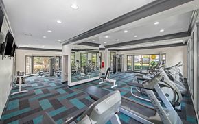 Kennesaw apartment for rent - a gym with treadmills and other exercise equipment at the enclave at woodbury