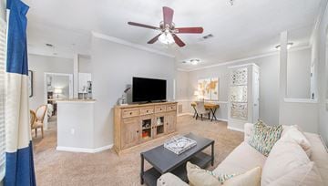 Kennesaw apartment for rent - a living room with a couch and a tv