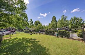 Duluth apartment for rent - the yard is fenced in with a green lawn and trees