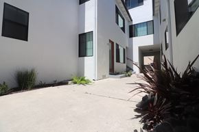 Long Beach apartment for rent - an outside view of a white building with a concrete sidewalk and plants