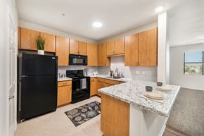 Gilbert apartment for rent - a kitchen with black appliances and a marble counter top