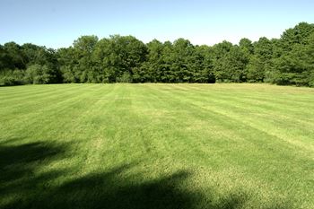 Turf sports field
