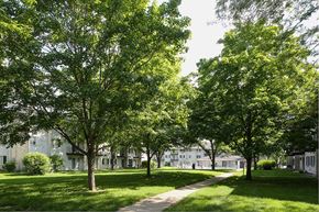 Madison townhouse for rent - Apartments in Madison, WI landscaping