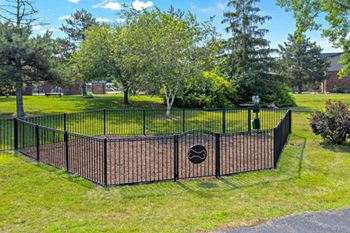 Fenced in dog park