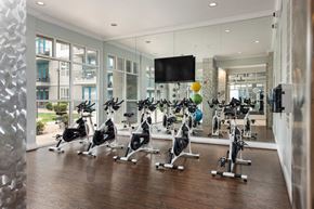 Phoenix apartment for rent - the gym has a slew of exercise bikes and a television