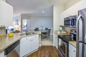 Charlotte apartment for rent - Cheswyck at Ballantyne apartments interior kitchen