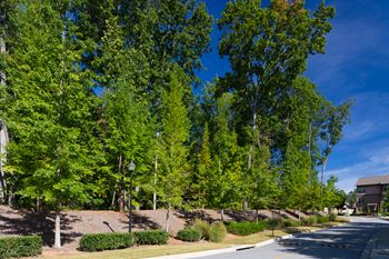 The oaks at johns creek scenic wooded views