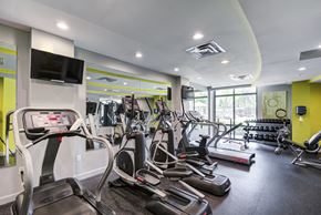 Alexandria apartment for rent - Fitness Center