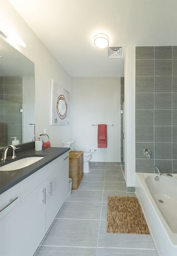 Luxurious bathroom