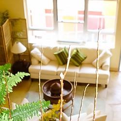 Emeryville apartment for rent - A living room with a white couch and a table with a plant on it.