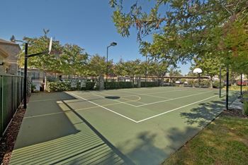 Lighted multi-purpose sport court
