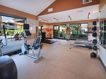 Cardio and weight lifting equipment in fitness center