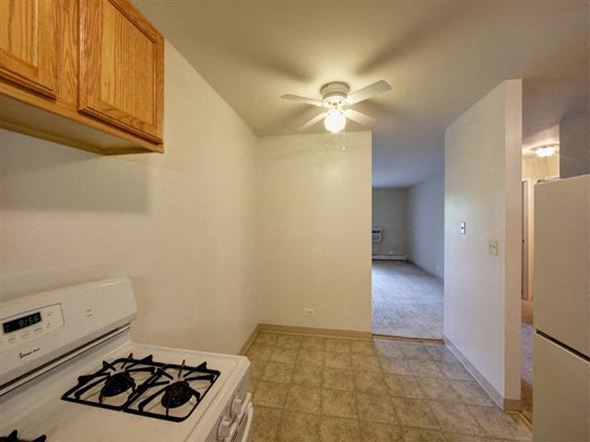 Round Lake apartment for rent - a kitchen with a stove and a ceiling fan