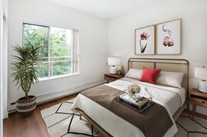 Vancouver apartment for rent - a bedroom with a bed and a potted plant and a window