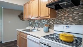 Randallstown apartment for rent - a kitchen with a stove top oven and a sink