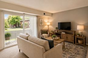 Dundalk apartment for rent - A living room with a couch, a television, and a plant.