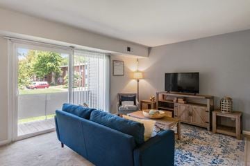 Dundalk apartment for rent - a living room with a blue couch and a television
