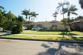 Los Angeles apartment for rent - A street view of a residential area with houses and palm trees.