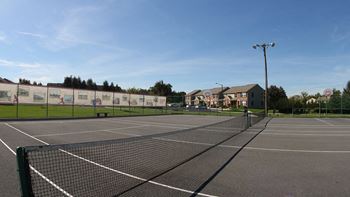 Sports courts