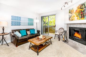 Bellevue apartment for rent - a living room with a couch and a fireplace