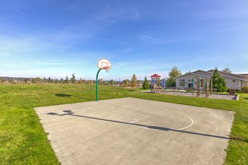 Basketball court