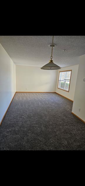 Grand Forks apartment for rent - A room with a grey carpet and a hanging light fixture.
