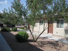Scottsdale apartment for rent - a small tree in front of a house