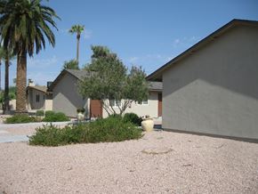 Scottsdale apartment for rent - a home with a gravel driveway and a palm tree