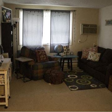 Brunswick apartment for rent - a living room with two couches and a table