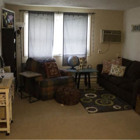 Brunswick apartment for rent - a living room with two couches and a table