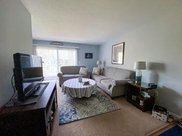 Eastlake apartment for rent - a living room with a couch and a tv