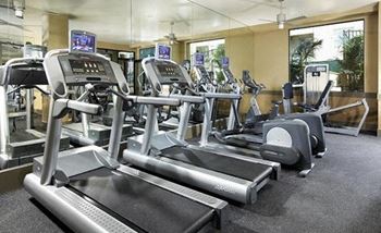 Fitness studio for cardio and weight training 