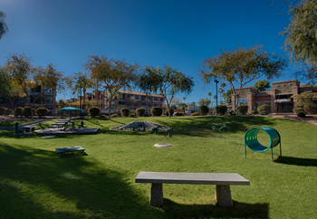 Pet park