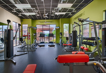 Modern gym equipments