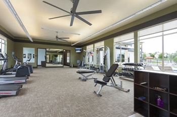 Gym equipment