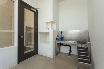 Pet spa