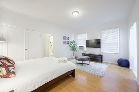 Floor plan for studio, 1 bath, 495 sqft