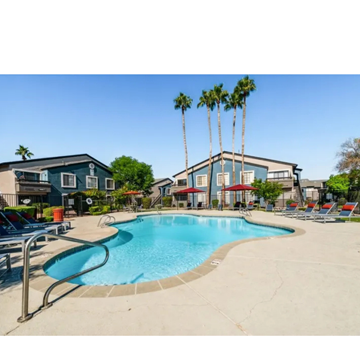 Phoenix apartment for rent - A swimming pool surrounded by palm trees and lounge chairs.