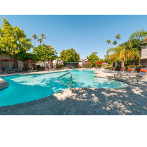Phoenix apartment for rent - A swimming pool surrounded by palm trees and lounge chairs.