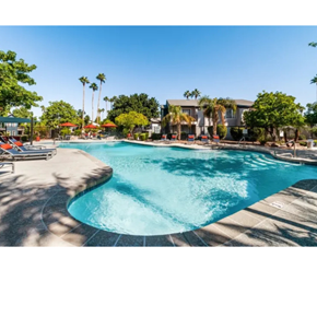 Phoenix apartment for rent - A large swimming pool surrounded by palm trees and lounge chairs.