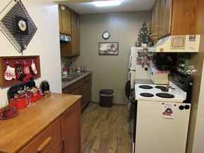 Forest Lake apartment for rent - kitchen with hardwood floors apartment Forest lake MN