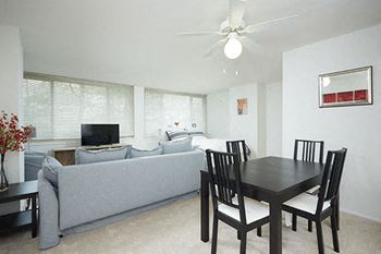 Ceiling fan