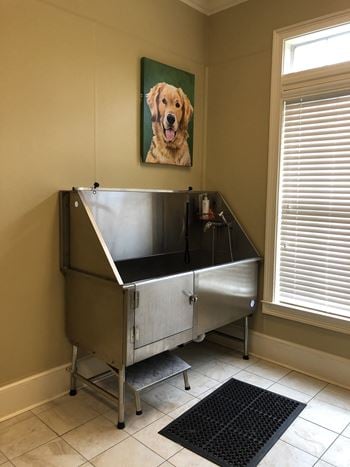 Pet wash & grooming area