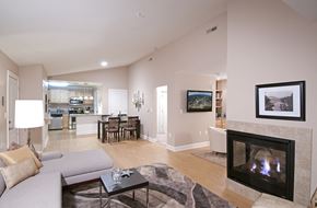 Brunswick apartment for rent - a living room with a fireplace and a dining room