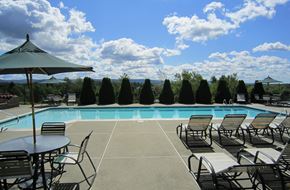 Brunswick apartment for rent - a swimming pool with chairs and umbrellas and trees