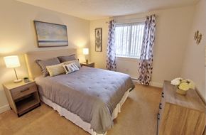 Albany apartment for rent - a bedroom with a bed and a dresser and a window