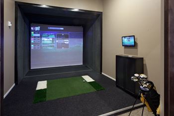 Golf simulator1